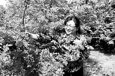 也缺乏系统的繁殖体系和澳门威尼斯人网站_澳门威尼斯人官网_澳门威尼斯人线